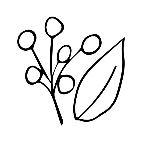 Vector illustratie met een bessen tak, met de hand getekend in doodle stijl. Ontwerp voor het versieren van een recept, menu, boekpagina, kleurboek, kaart, uitnodiging. - Vector, afbeelding