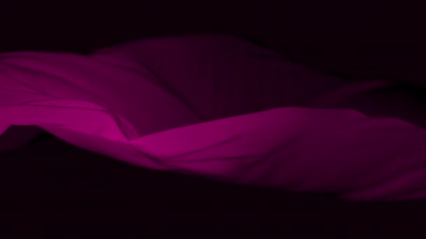 4k Рожева хвиляста шовкова тканина у вітрі, безшовний хвилястий прапор тканини петлі фону
. - Кадри, відео