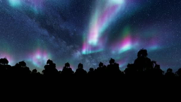 aurora boreale abete rosso paesaggio stelle notturne. Scena foresta. - Filmati, video
