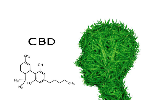 CBD Macro egy cannabis virág és marihuána makró. elszigetelt fehér háttér. A marihuánafej és a kannabisz fogyasztói szimbóluma, mint a fűlevelekből készült emberi arc - Fotó, kép