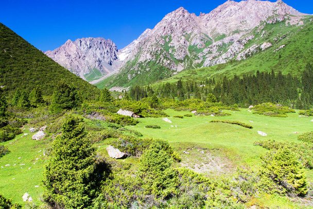 Alatau Plateau em Tian Shan montanhas, Karakol, Quirguistão, Ásia Central
 - Foto, Imagem