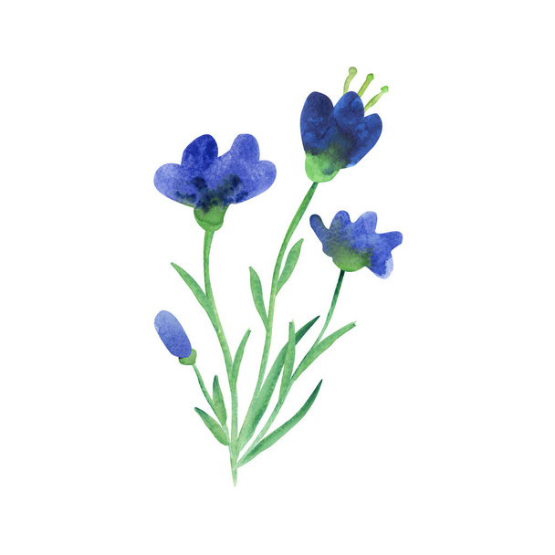 Watercolor small bouquet of beautiful fantasy wild blue flowers. Great decorative print for clothes, t-shirts, invitations, gift products. Hand painted illustration isolated on white. - Photo, image