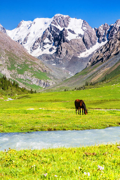Alatau Plateau em Tian Shan montanhas, Karakol, Quirguistão, Ásia Central
 - Foto, Imagem