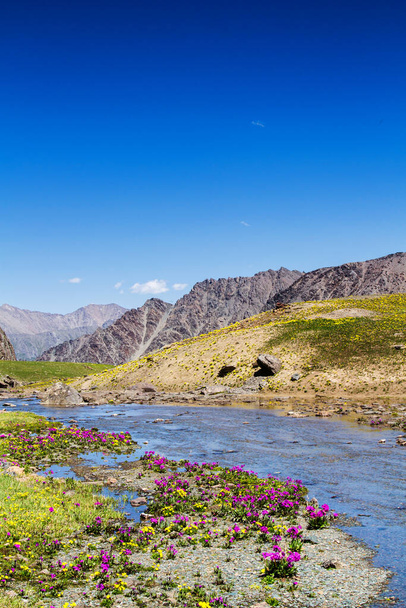 Alatau Plateau im Tian Shan Gebirge, Karakol, Kirgisistan, Zentralasien. Foto vom Teleti Pass. - Foto, Bild