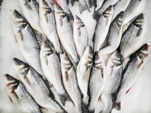 魚市場の魚の食感背景 - 写真・画像