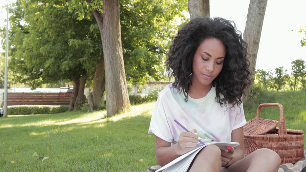 Femme afro-américaine dessinant sur carnet de croquis pendant le pique-nique dans le parc - Séquence, vidéo