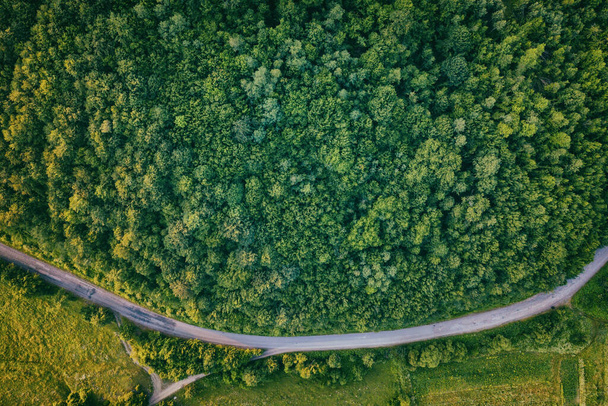 Summer landscape with green trees and narrow winding road, aerial view, outdoor travel background - Fotografie, Obrázek