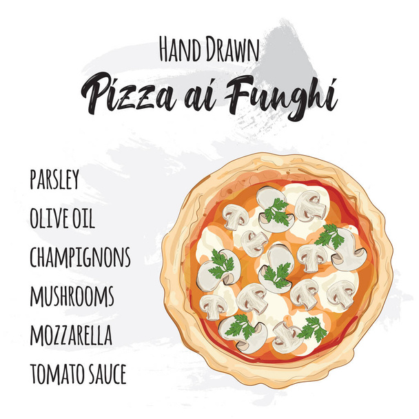 Hand drawn colorful pizza ai Funghi with ingredients - Vector, Image