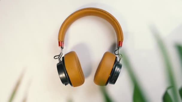 Karamellbraune Kopfhörer und bewegliche grüne Palmenblätter und Schatten wechseln die Richtung. Sommerliches Musikkonzept. Niemand - Filmmaterial, Video