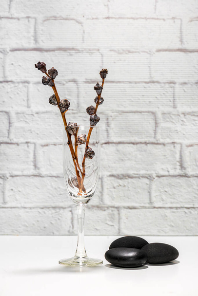 šálek s eukalyptovými větvemi a černými sopečnými lávovými kameny na bílém pozadí - Fotografie, Obrázek