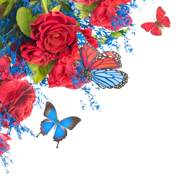 Floral background and butterfly - Foto, Bild