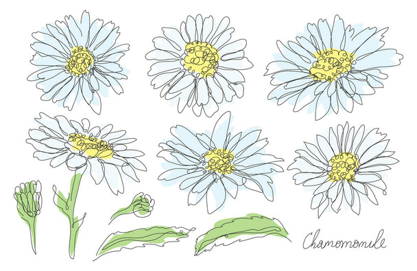 Decorative hand drawn chamomile flowers set, design elements. Can be used for cards, invitations, banners, posters, print design. Continuous line art style - Wektor, obraz
