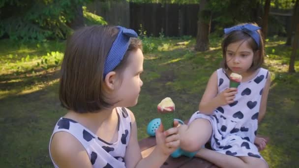 Két gyönyörű lány jégkrémet eszik egy padon a nyári erdőben. - Felvétel, videó