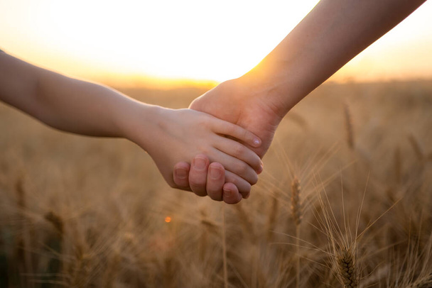 Close up of child and mother or older sister hands at the sunset in wheat field. Concept of support, friendship, togetherness, love, family. Background with copy space. - Foto, Bild