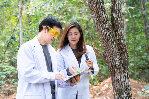 Οι επιστήμονες μελετούν τα φυτικά είδη στο δάσος. Άνδρας και γυναίκα επιστήμονας κοιτάζοντας τα φύλλα με μεγεθυντικό φακό στο δάσος. Επιστήμονας οικολόγος στο δάσος λαμβάνουν δείγματα των φυτών. - Φωτογραφία, εικόνα
