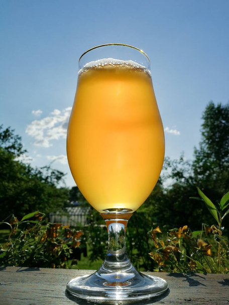 Un vaso de cerveza en un día soleado con cielo azul
 - Foto, imagen