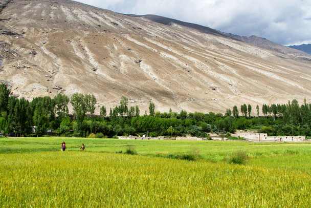 Wakhan Coridor. Dividido por el río Panj (Amu Darya) junto a la autopista Pamir en la ruta de la seda Marco Polo. Gorno Badakhsan, Tayikistán, Asia Central
 - Foto, Imagen