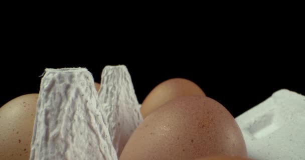 коробка з яйцями супер макро крупним планом зйомка
  - Кадри, відео