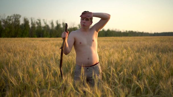Egy póló nélküli fiatalember nyírja a búza kaszát. Egy férfi a mezőn naplementekor.. - Fotó, kép