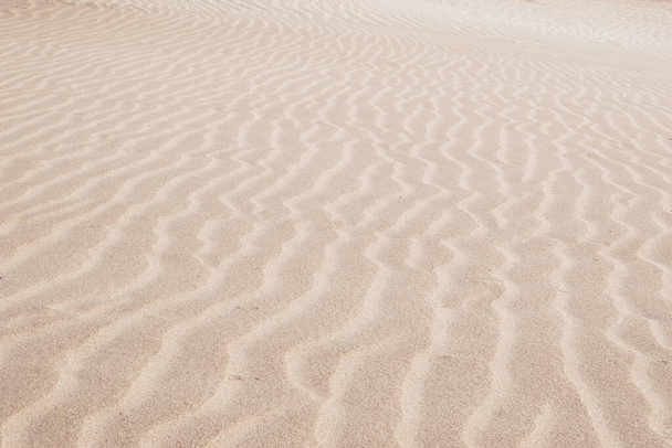 White Sand dunes background texture. Beach and sand texture. Pattern of sand. Beautiful sand dune in sunrise in the desert. Steps on the beach sand. - Zdjęcie, obraz