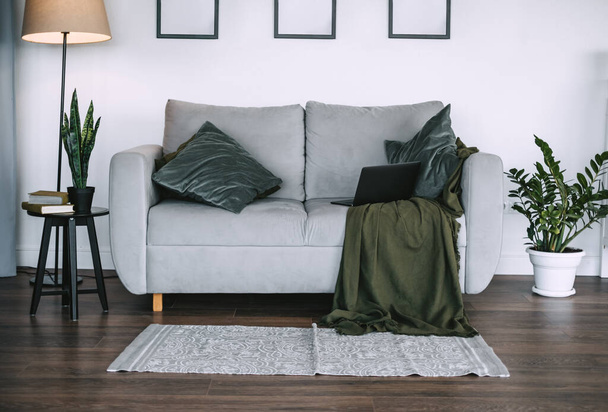 Living room with green plants and grey sofa with pillow and laptop computer, home comfort, interior details. High quality photo - Φωτογραφία, εικόνα