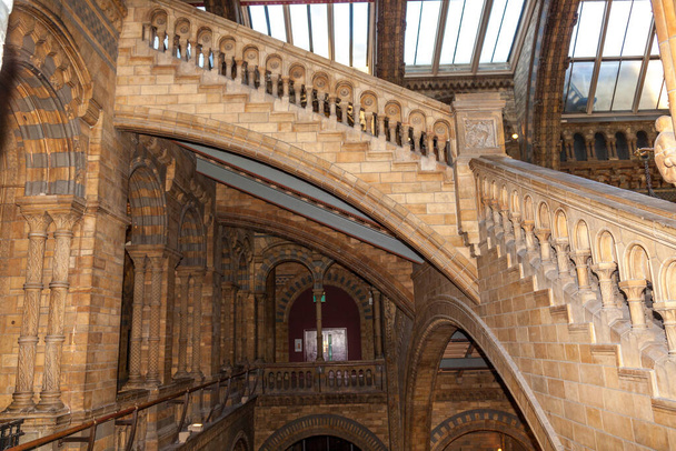 Het Natural History Museum Londen. Architec tAlfred Waterhouse creëerde een bijzondere menagerie van terracotta ontwerpen Van de imposante waterspuwers op de gevel tot het meest delicate interieur detail, elk element van zijn ontwerp is een eerbetoon aan de  - Foto, afbeelding