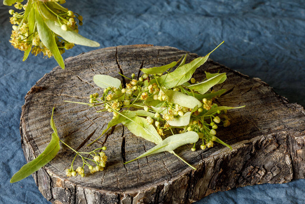 Flores de tilo en un viejo tocón de madera. La planta medicinal Linden se utiliza en la medicina popular. .. Enfoque selectivo
 - Foto, imagen