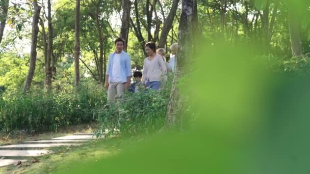 família de três gerações caminhando relaxante no parque
 - Filmagem, Vídeo