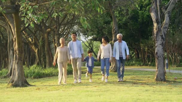 szczęśliwy multi pokolenie Azji rodzina mając a dobrze czas spacery w park - Materiał filmowy, wideo