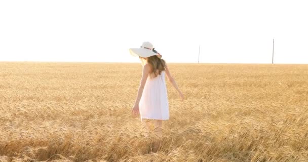  young woman in a white dress and straw hat walking through a wheat field at sunset - Materiał filmowy, wideo