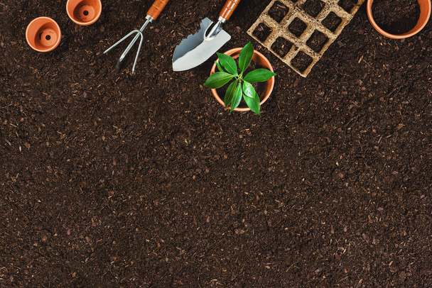 Gardening tools on soil background. Working in the garden - Φωτογραφία, εικόνα