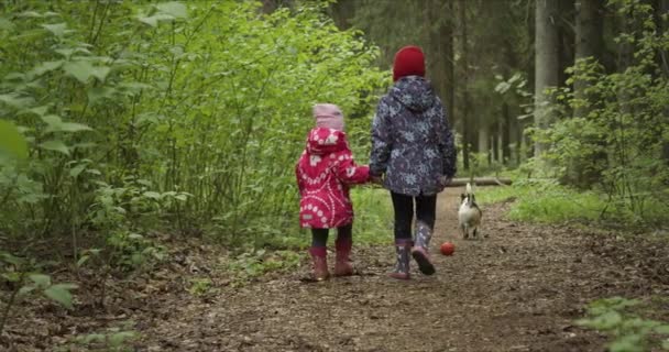 Schwestern halten sich Händchen, während sie durch den Wald gehen - Filmmaterial, Video