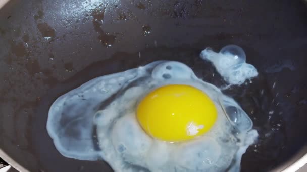 Freír y huevo en una sartén con aceite
 - Imágenes, Vídeo