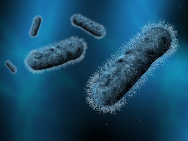 Bacterias - Foto, Imagen