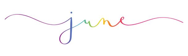 JUNI regenboog borstel kalligrafie banner met swashes - Vector, afbeelding