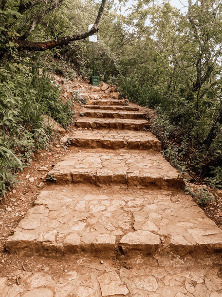 Photo of the stairs in San Bernardo hill in the city of Salta, Argentina. Empty path with trees in a cloudy day with no visible people. Concept of trekking, walk, travel and peace. - Photo, Image