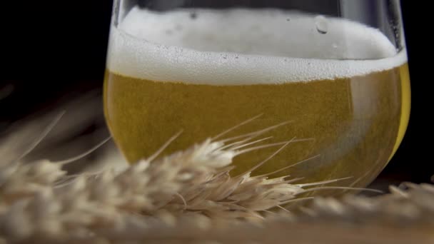 Beer with foam and wheat - Footage, Video