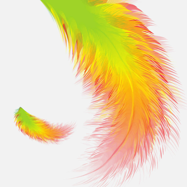 Beautiful colorful small and big realistic bird feathers isolated on white background. Vector illustration. - Vector, Image