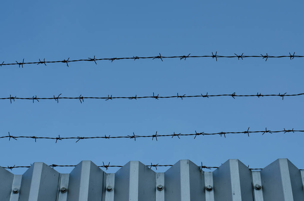 Забор из колючей проволоки и голубое небо - Фото, изображение