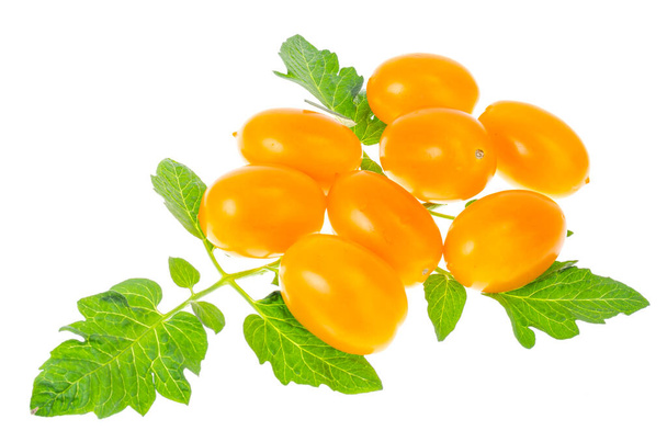 Oval yellow tomatoes on white background. Photo - Photo, Image