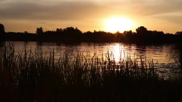 Auringonlasku joen Ukrainassa, Kiovan alueella kesäkuussa kesällä. Luonnollinen ääni  - Materiaali, video