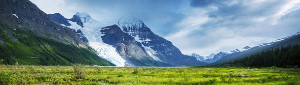 Prachtige Mount Robson in het zomerseizoen, Canada - Foto, afbeelding