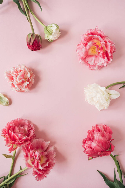Bloemen compositie met ronde frame van roze en witte pioenroos bloemen op roze achtergrond. Vlakke lay, bovenaanzicht model kopieerruimte sjabloon - Foto, afbeelding