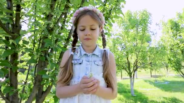 a little girl with pigtails smiles and looks at the camera. a child in a summer green garden - Video, Çekim