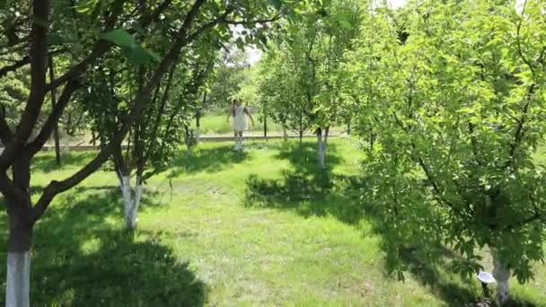 Trees around. Space for text. little beautiful girl in a dress runs through the garden, park. Slow motion - Video, Çekim