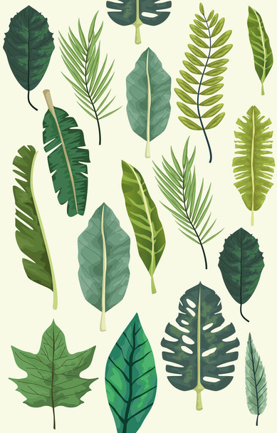 projekt botanicznego tła liści tropikalnych - Wektor, obraz