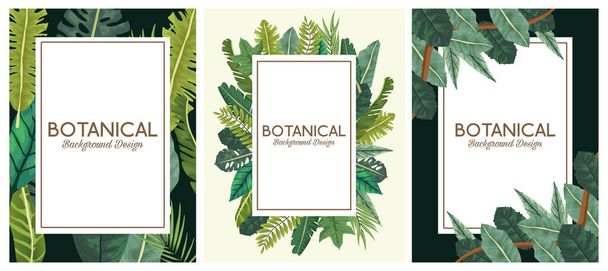 folhas tropicais em molduras e letras desenhos de fundos botânicos
 - Vetor, Imagem