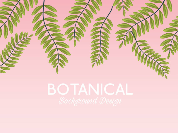 tropické listy a písmo botanické pozadí design - Vektor, obrázek