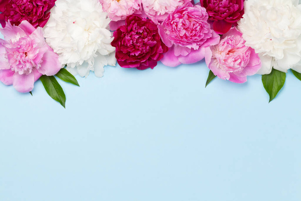 Kleurrijke roze, witte en paarse pioenroos bloemen op blauwe achtergrond. Bovenaanzicht met kopieerruimte. Vlakke plaat - Foto, afbeelding