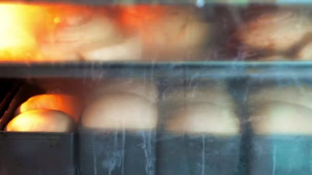 proces pieczenia świeżego ciasta drożdżowego do bułek hamburgerowych w piekarniku, materiał filmowy z gotowania - Materiał filmowy, wideo